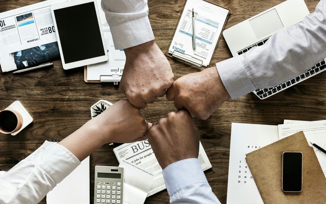 Présentation de la filière Assistance à la Gestion des Organisations et de leurs Activités